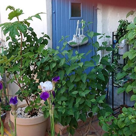 La Maison De St Victor Bed & Breakfast Saint-Victor-de-Malcap Dış mekan fotoğraf